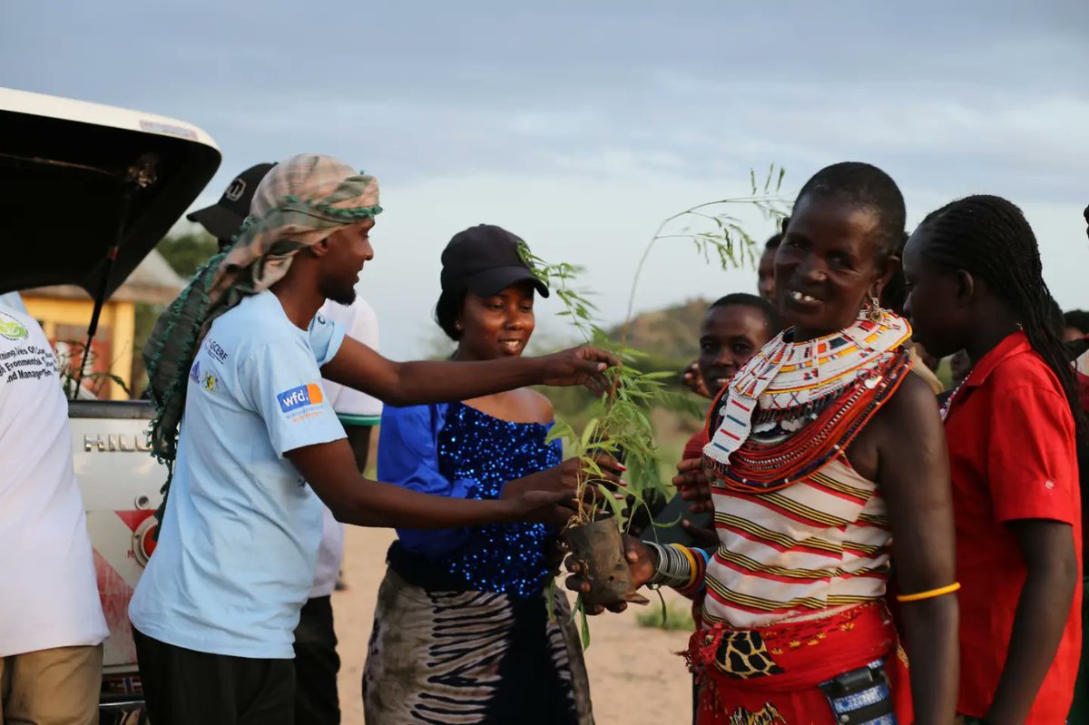 Mr And Miss Climate Africa tweet media