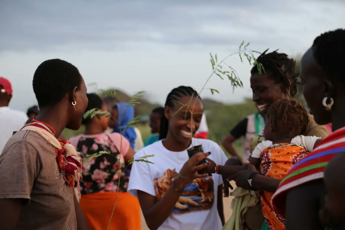 Mr And Miss Climate Africa tweet media