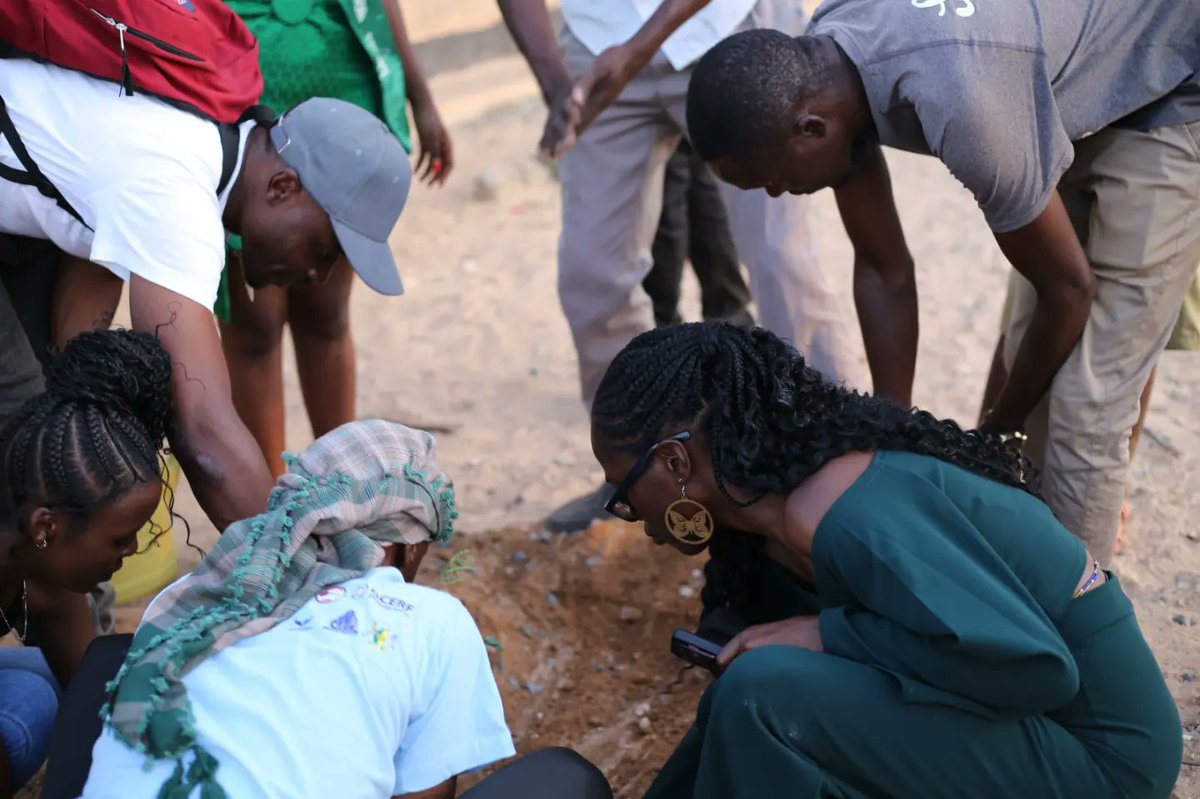Mr And Miss Climate Africa tweet media