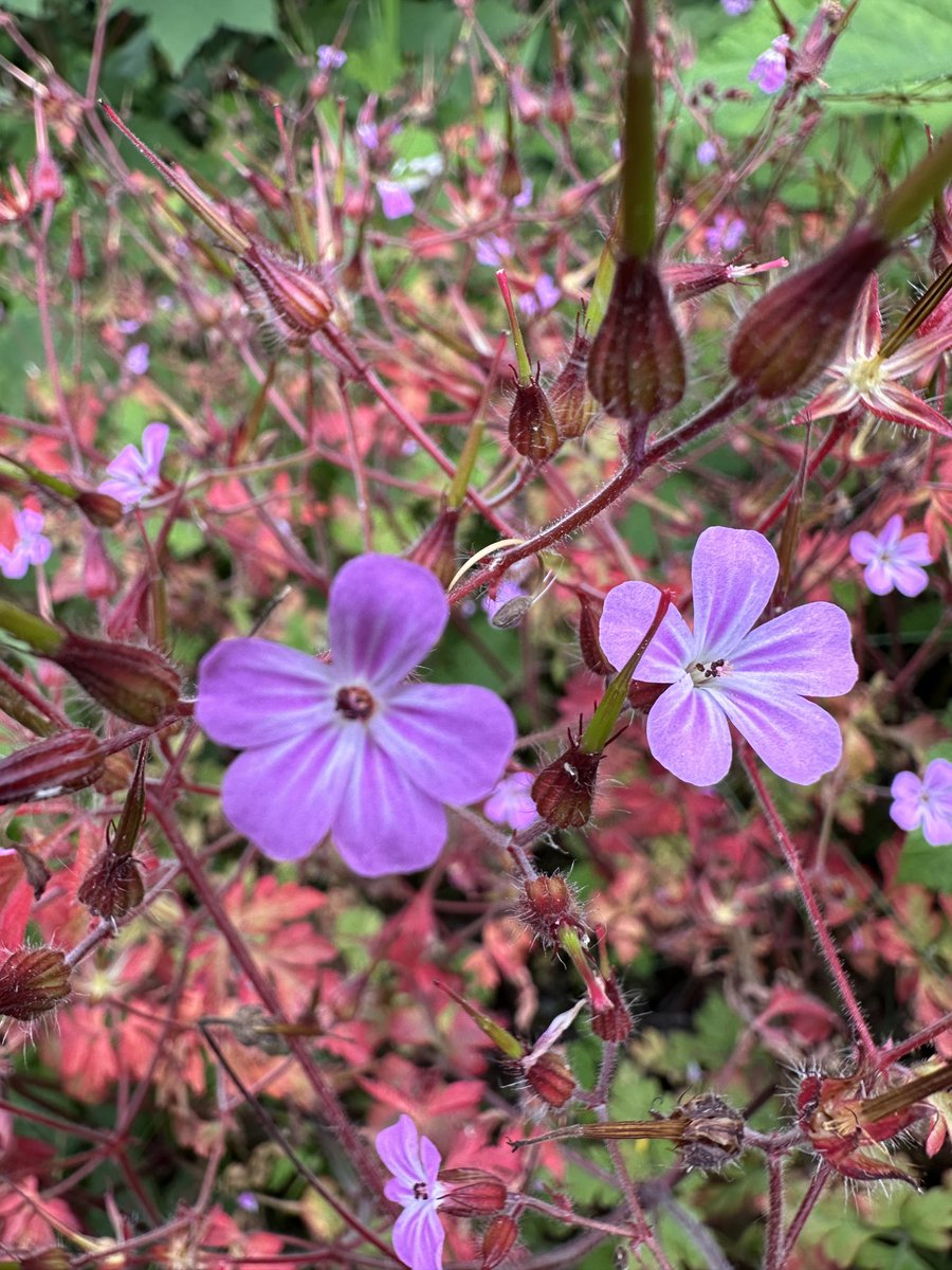 Alves Elisabete (@eaxpereira) on Twitter photo 