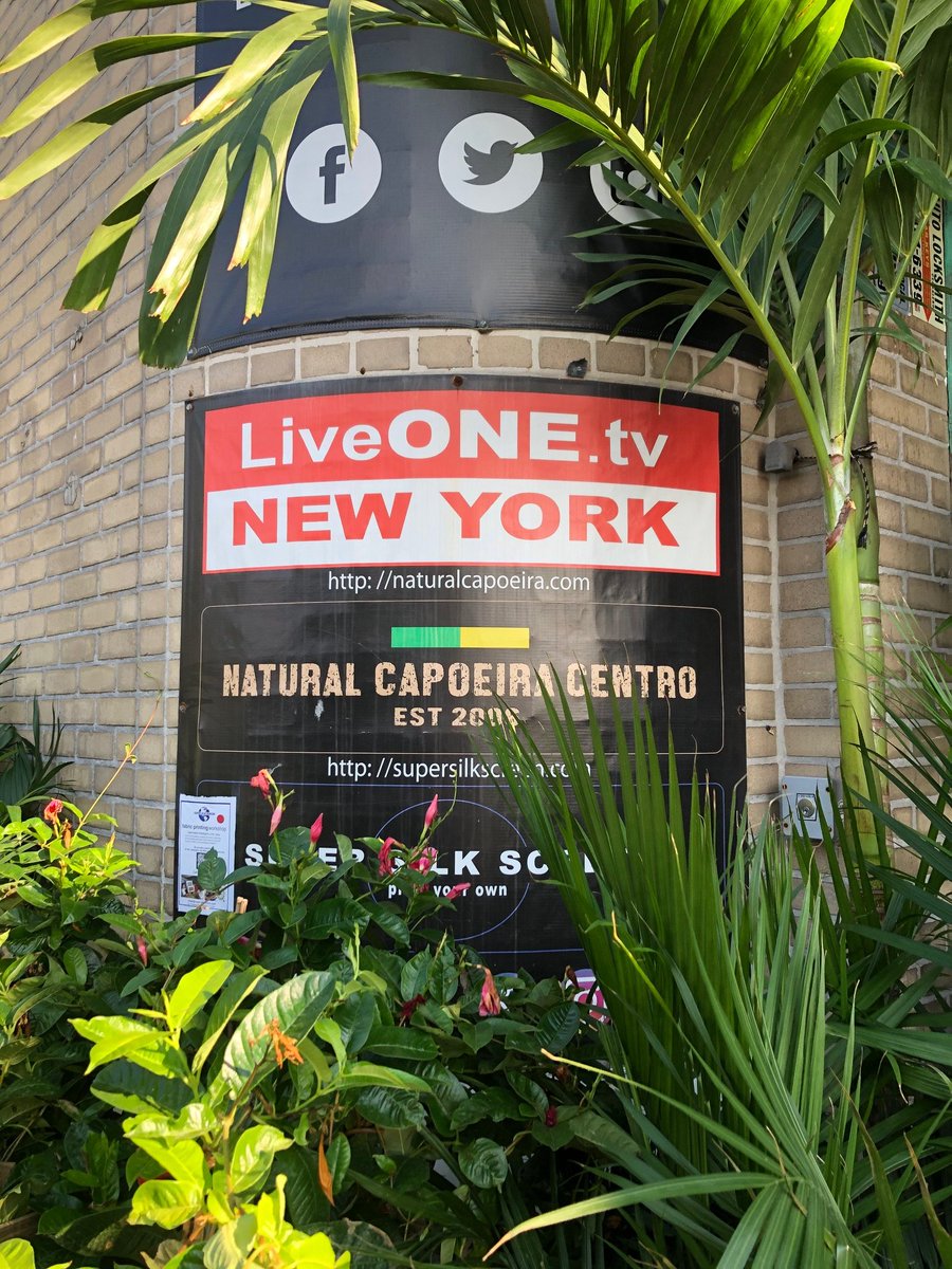LiveONE_TV's tweet photo. @LiveONE_TV is sponsored by Tropical Plants NYC and is the only media company with a Capitol Mouse House.

#CapitolMouseHouse https://t.co/uIS6e74gJk