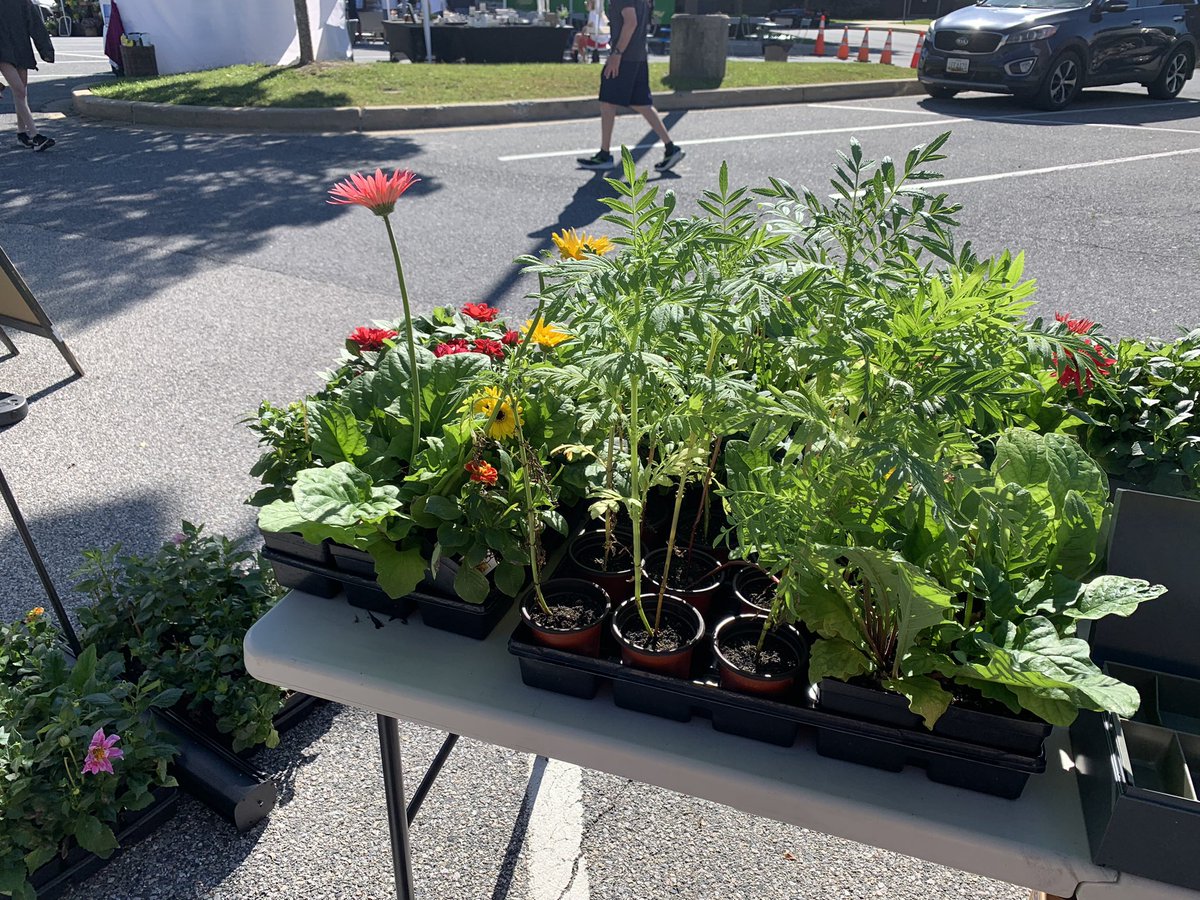 HMS Agriscience tweet media