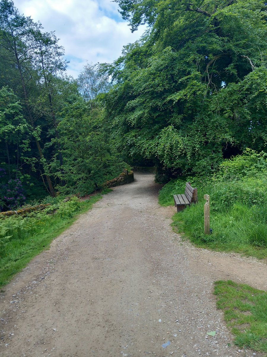 ProLogicz's tweet photo. Update on me. I am doing greatly fine, I just don't spend much time on social media now. Ive been going out and around the countryside I live in. I'm mentally doing much better since I got a therapist. Sorry if I worried any of you hope youre all doing well, miss you all dearly💛 https://t.co/xtDX8jkUqW