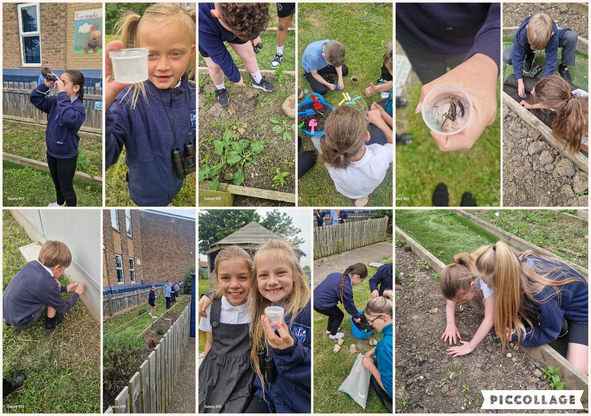 The children in year 4 had a fantastic morning yesterday with dynamic drains. They enjoyed finding and identifying different plants and insects and planting their own sunflowers.