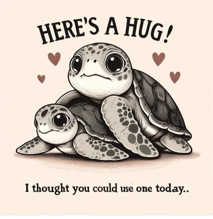 Seaturtle lovers club (@seaturtlelovers) on Twitter photo 