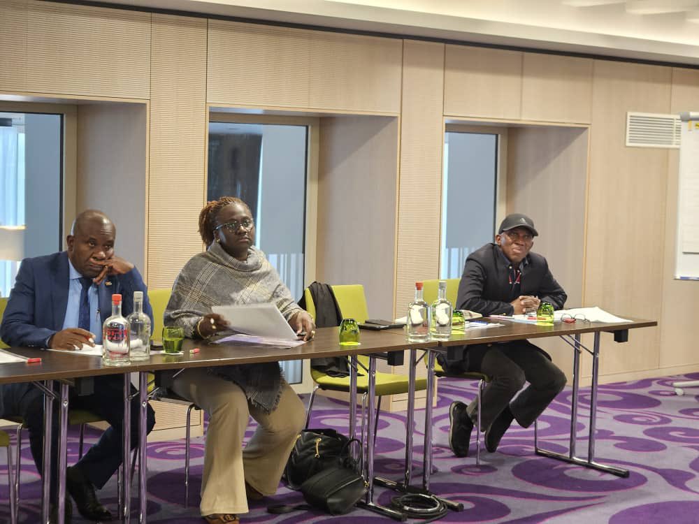 IDEA_Africa's tweet photo. Briefing by Elections Watch Europe (citizen observer group) focusing on the role of Civil society in the EU elections, promoting the right to vote and Sharing of key observations form their deployment. @EUtoAU @_AfricanUnion @Bankole_Adeoye @DutchMFA https://t.co/dH2ASw1Mkd