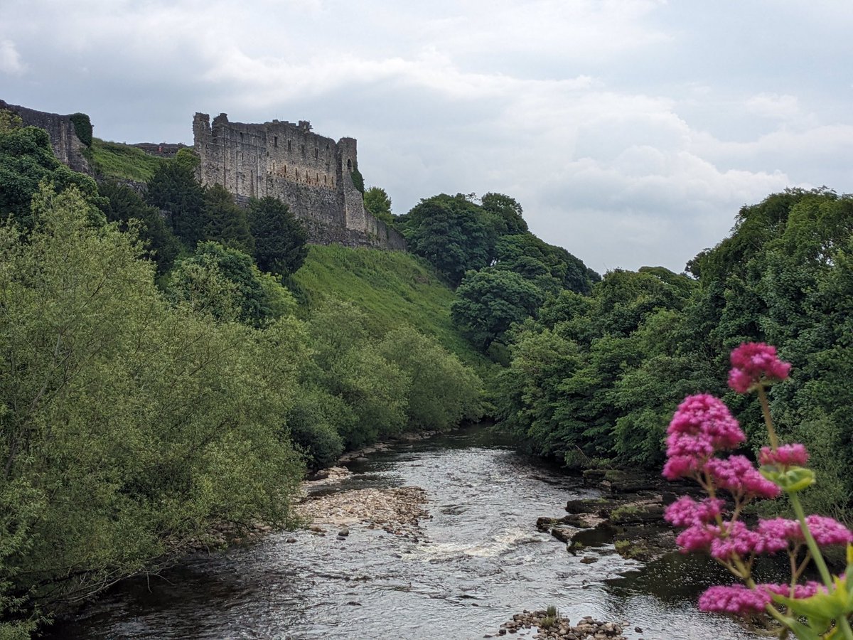 OrchForTheEnv's tweet image. We were delighted by the response to our concerts in Yorkshire! Thank you to @SwaleFest and @Bfdcathedral for hosting our Tree of Life concerts!
