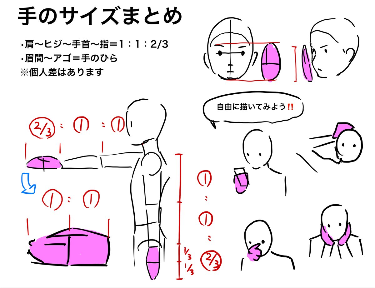 ◯手のサイズまとめ
•肩～ヒジ～手首～指=1:1:2/3
•眉間～アゴ=手のひら
※個人差はあります。
自分でやって確かめましょう!!
「肩～ヒジ～手首=1:1」は有名ですが
「ヒジ～手首～指=1:2/3」は案外知らない人が多い。 