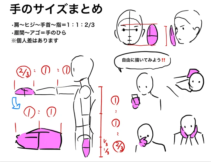 ◯手のサイズまとめ
•肩～ヒジ～手首～指=1:1:2/3
•眉間～アゴ=手のひら
※個人差はあります。
自分でやって確かめましょう!!
「肩～ヒジ～手首=1:1」は有名ですが
「ヒジ～手首～指=1:2/3」は案外知らない人が多い。 