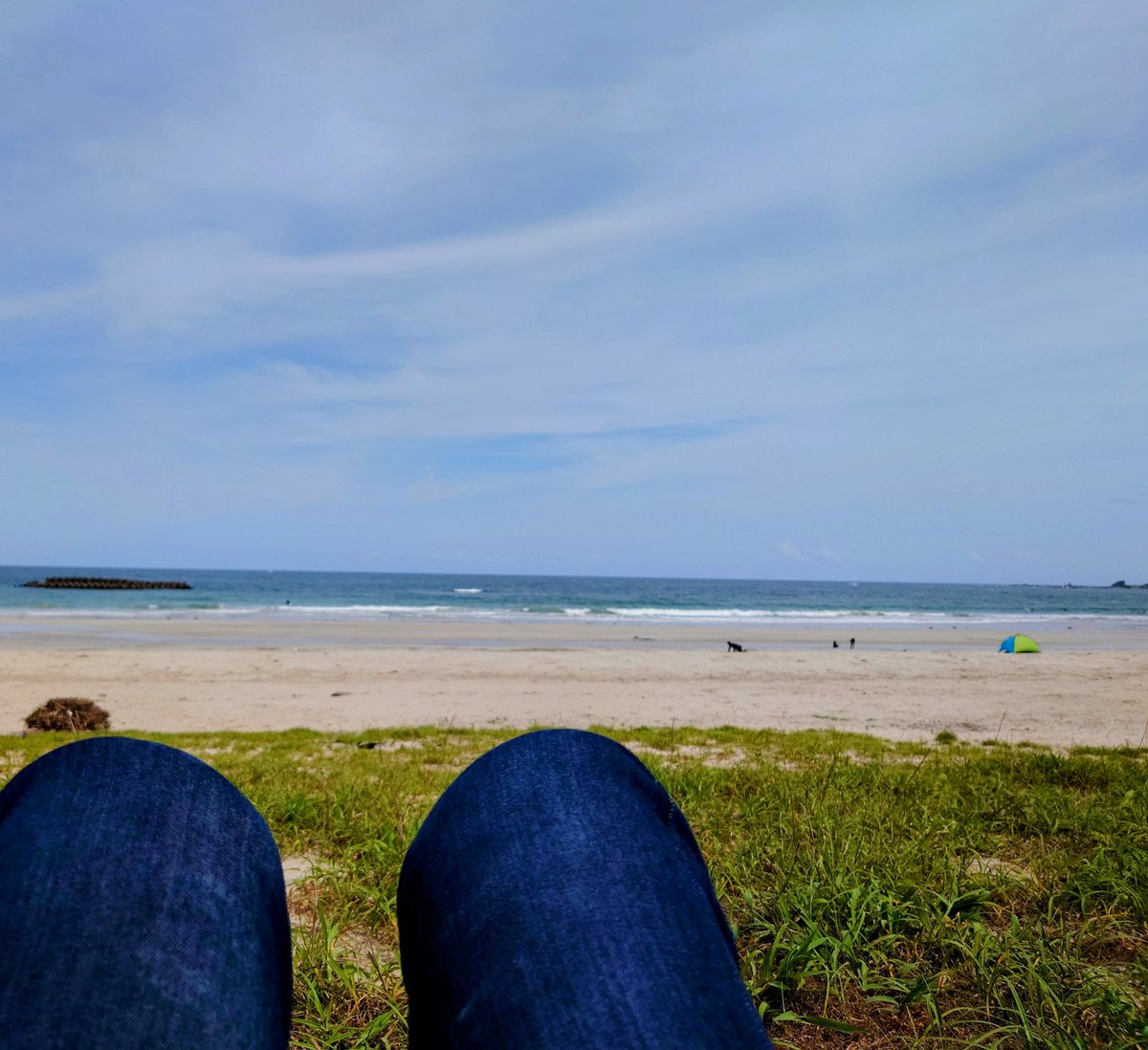 Ninja650_D's tweet photo. 初めて来れたパールロード
国府白浜でお寿司を食べて、寝っ転がって波をぼーっと眺めてみる https://t.co/0QzTJQGLAK
