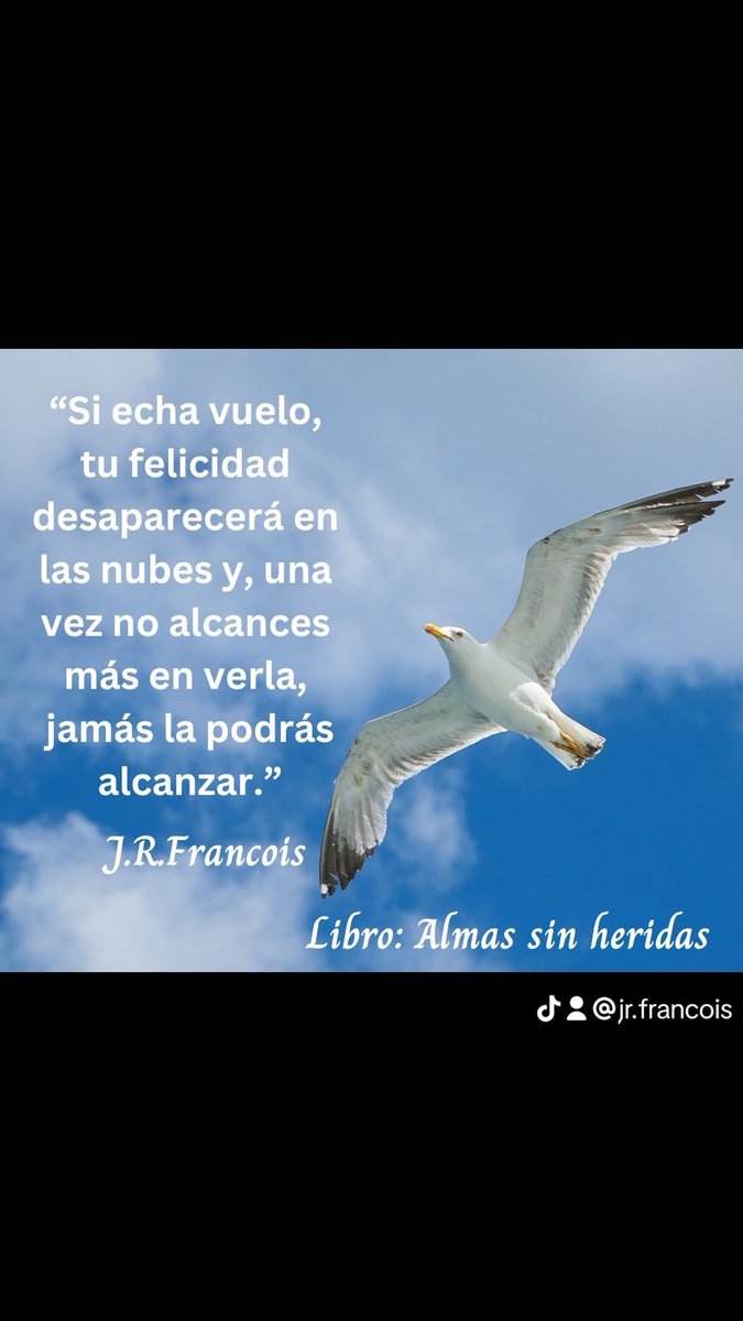 JR FRANCOIS tweet media