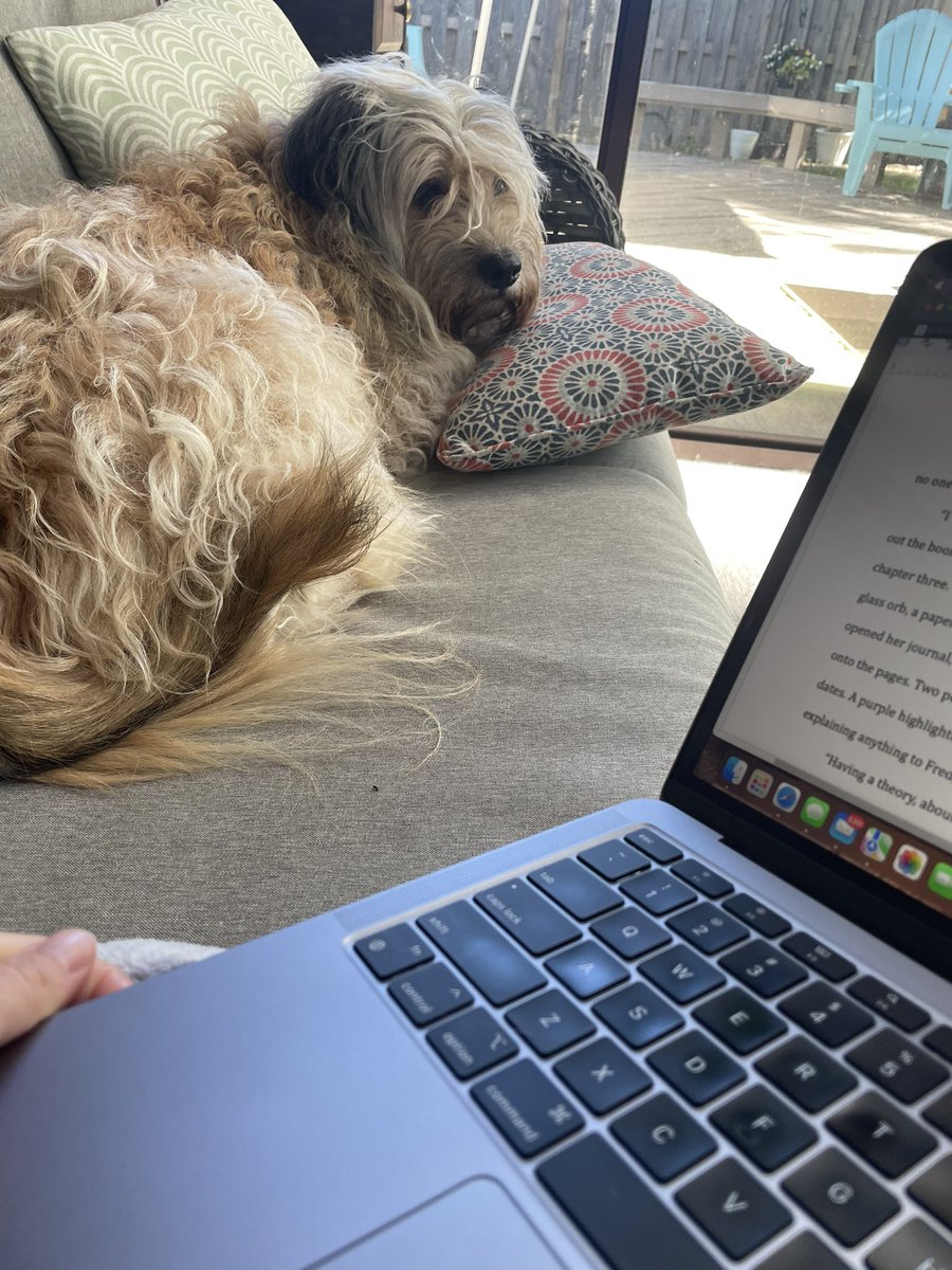 Someone else ‘staying in the chair’ for today’s #1000wordsofsummer