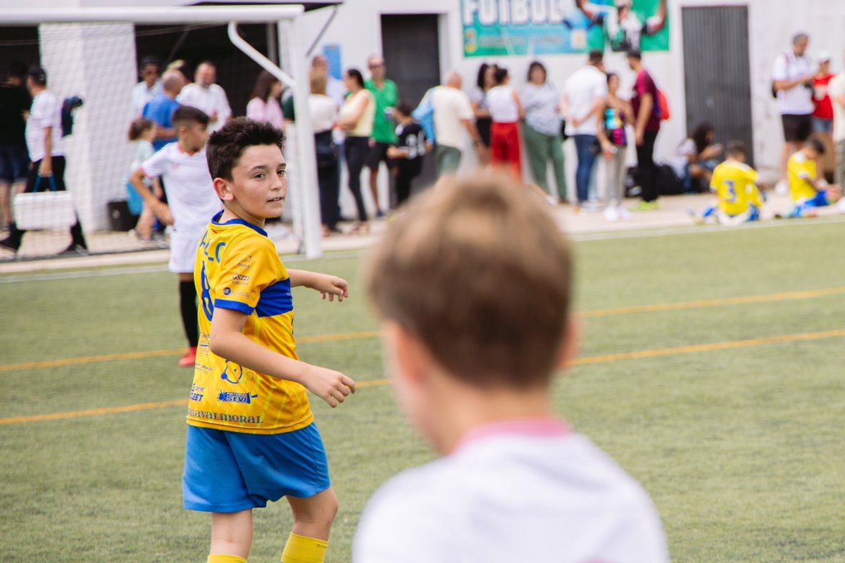 Escuela Municipal de Fútbol de Talarrubias tweet media