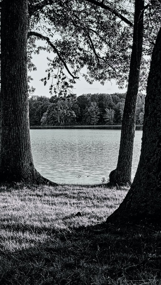 docdevore's tweet image. 