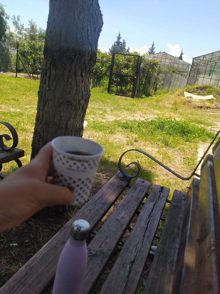 Hafta sonu en çok özlediğim şey   termusuma kahve veya çay hazırlayıp , minik bir saklama kabına badem kuru üzüm vs koyarak minik tez alanımın yolunu tutmak...