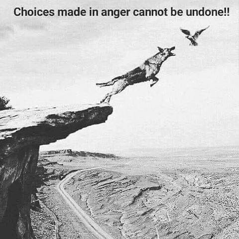 thematrixwizard's tweet photo. https://t.co/buJK2N59KJ