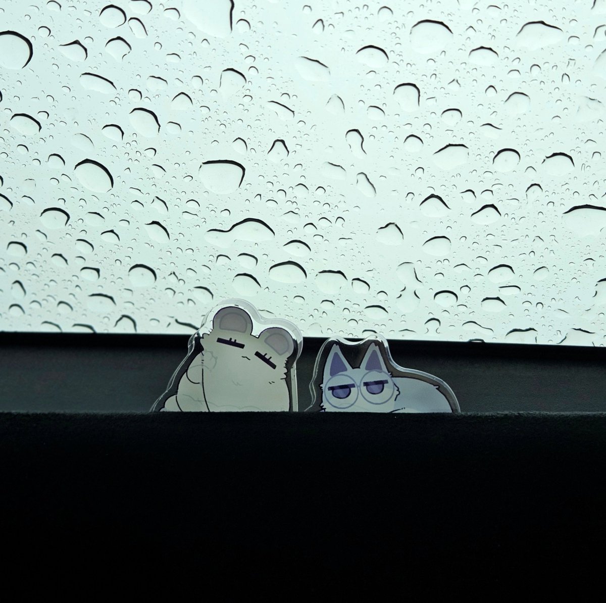 코롯토가귀엽고맬렁해요