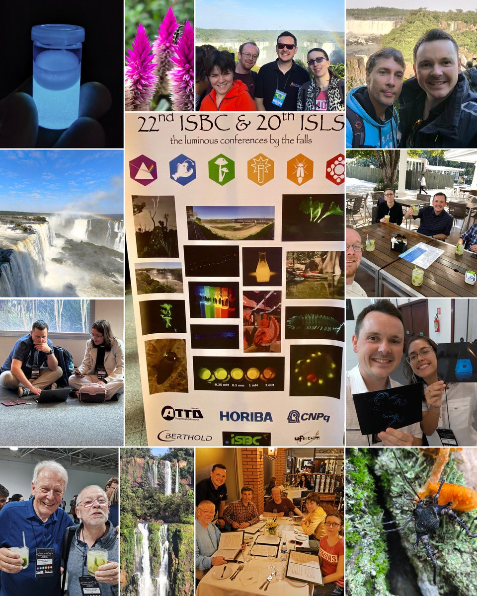 Thinking about bioluminescence at the wonderful ISBC conference organized in Foz do Iguaçu! Thanks to the organizers, the luminous speakers, and the old and new friends. #ISBC #bioluminescence #Brazil