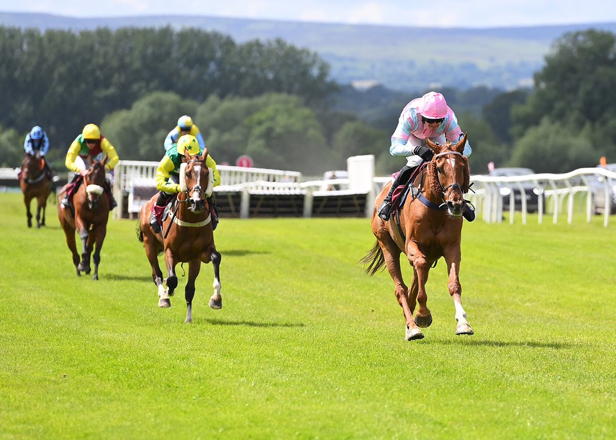 BangorRaces's tweet photo. RACE 2 RESULT: THE CASTLE MEWS WINDOWS HANDICAP STEEPLE CHASE

🥇Almazhar Garde
🥈Getaway Glory
🥉Rebellious Gale

Jockey: Paul O’Brien
Trainer: Charlie Longsdon
Owner: Arthur’s Party

📸 @offphoto @CharlieLongsdon https://t.co/acuLwBEAXg
