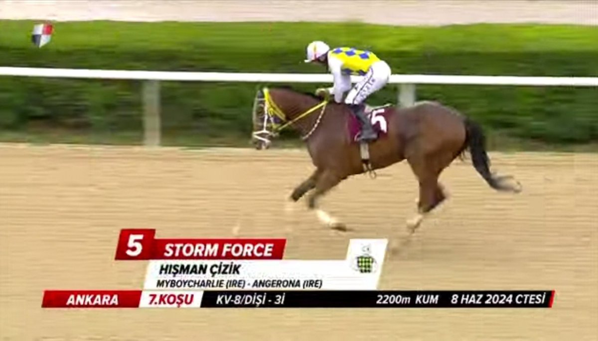 Atımız Storm Force 08 Haziran 2024 günü Ankara’da 2200 metre çim pistte KV-8 İBRAHİM KİRAZOĞLU koşusunu Hışman Çizik ile kazandı. Ankara ekibinin ve jokeyimizin ellerine, emeklerine sağlık 🥇🧿🏇👏👏👏
<a href="/avsar62/">Recep AVŞAR</a>
<a href="/Burcinarslan13/">Burçin Arslan</a>
<a href="/ocak_adil/">Adil Ocak</a>