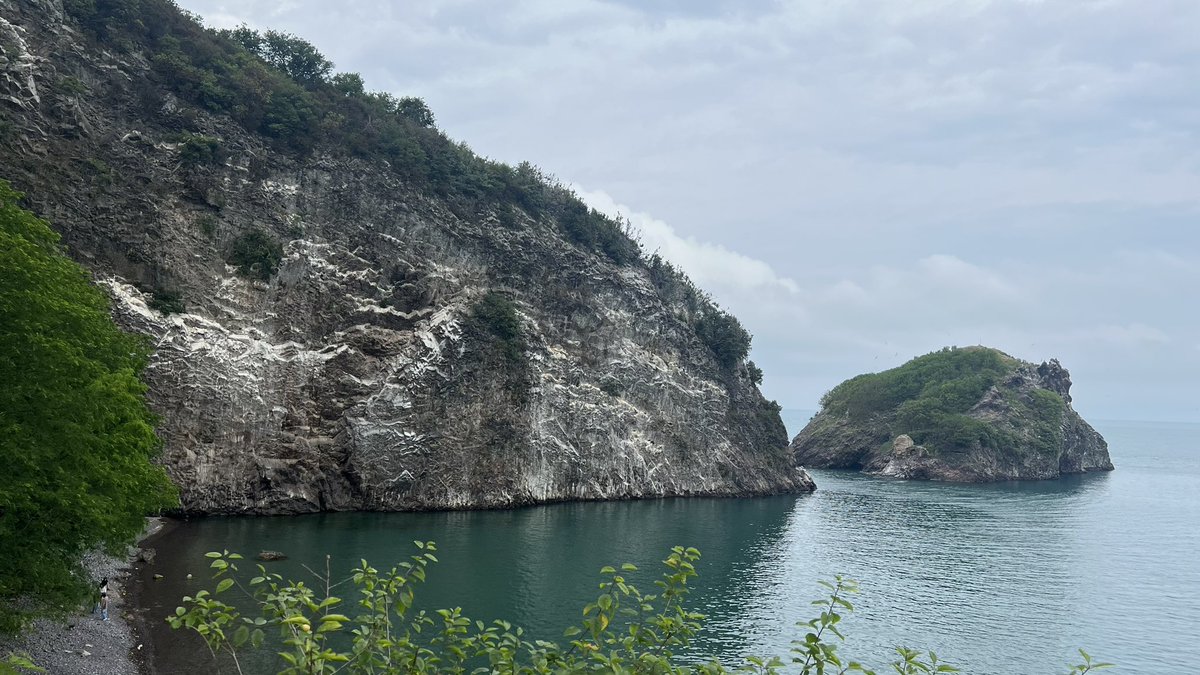 Mtnckmk's tweet photo. Ordu https://t.co/Zb77yW1HhN