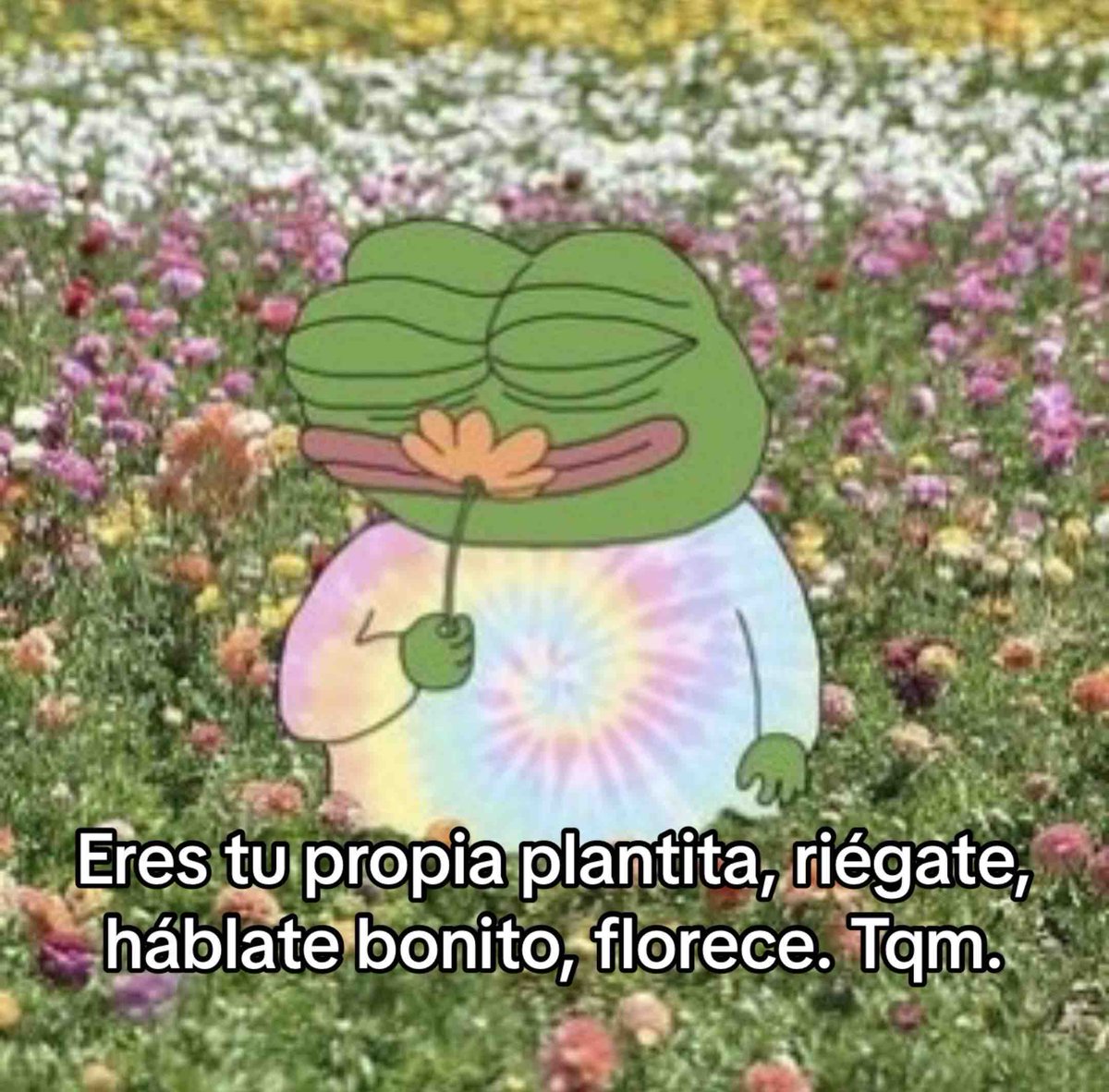 Guarromantico_'s tweet photo. Eres! https://t.co/pGWjMztLCx
