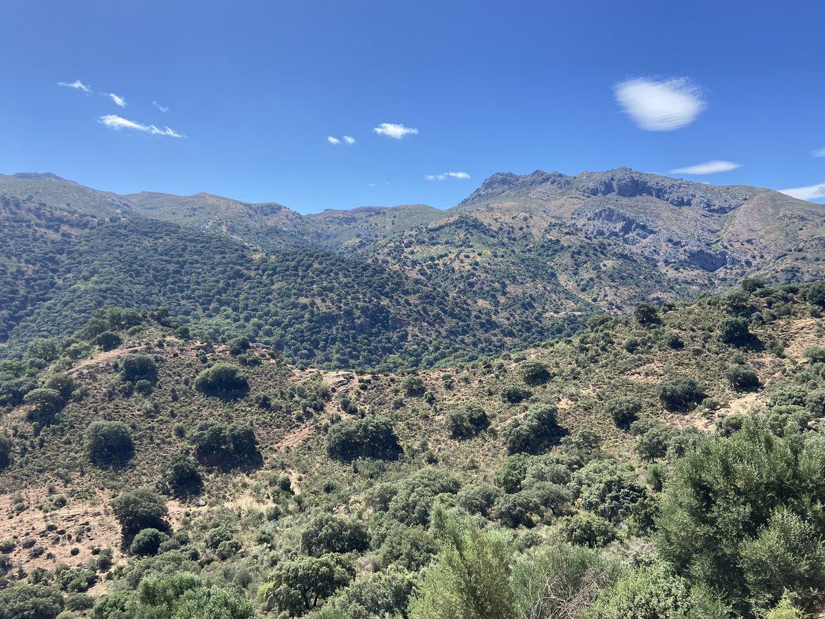 Graham Bassi tweet media