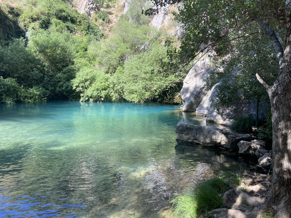 Graham Bassi tweet media