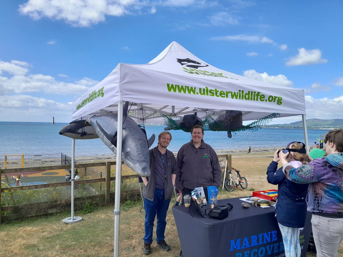 NI Marine Task Force tweet media