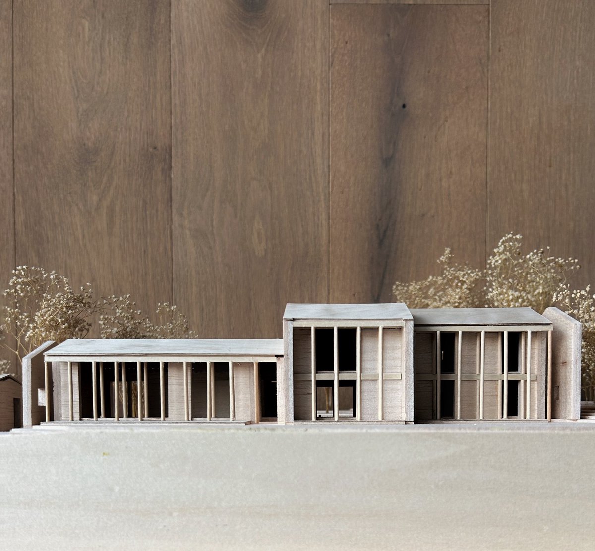 Manuel Cervantes Estudio tweet media