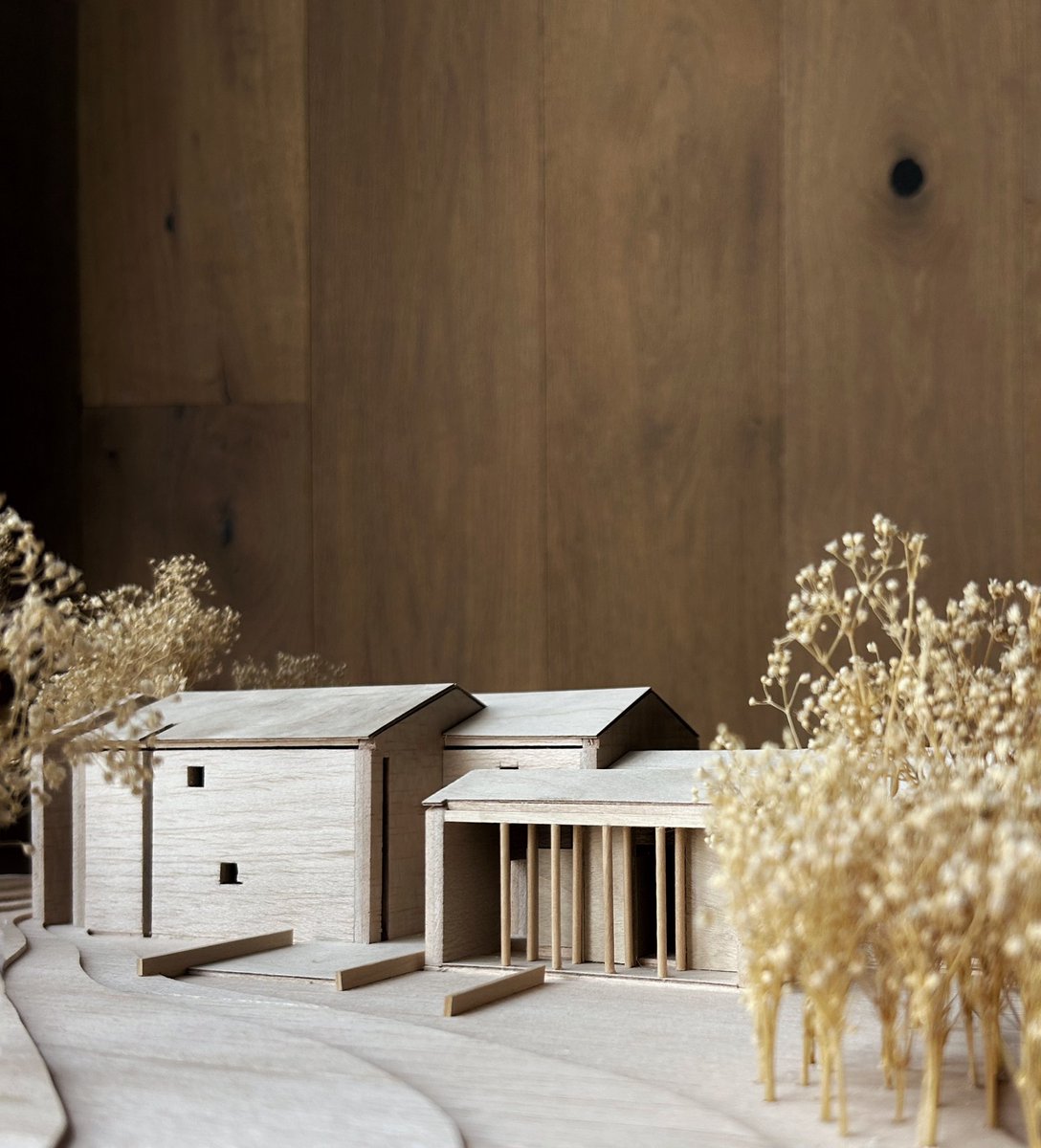 Manuel Cervantes Estudio tweet media