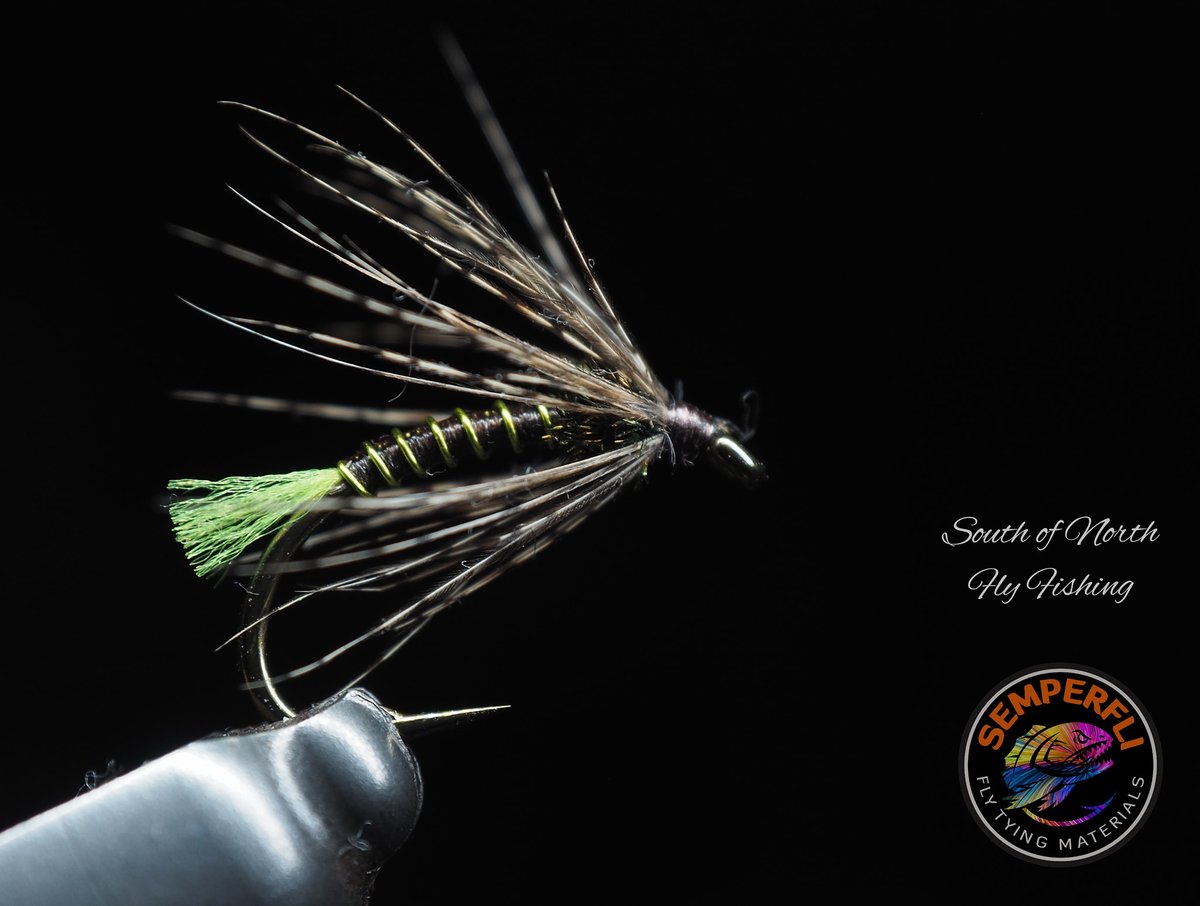 semperfli's tweet photo. Braedan De Lange adds a flash of colour to this super soft hackle pattern which he’s looking forward to giving a swing! 

#semperfli #semperfliproteam #flytying #flyfishing #softhackle #trout #troutflies #troutfishing #flytyinglife #poweredbysemperfli https://t.co/yOBcPeH652