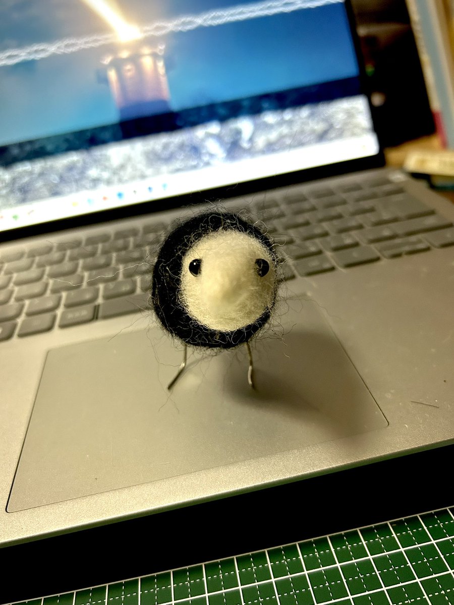 なんかいいねいっぱいもらえたから
飼うことにしました
ありがとうございます