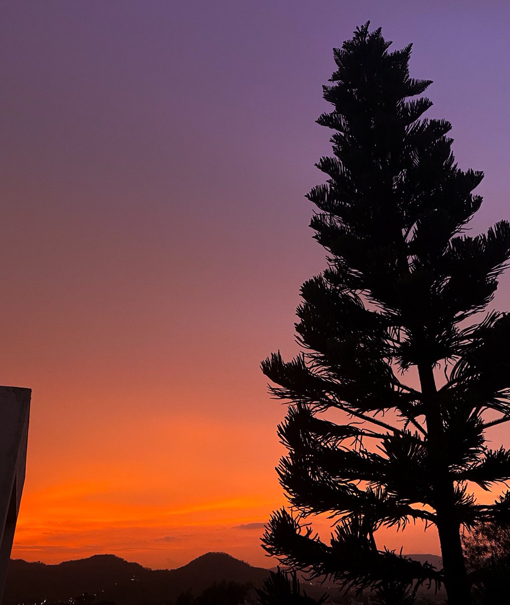 Sky went from yellow to pink real quick