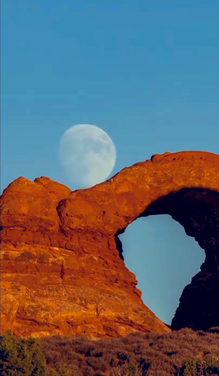 SantiagoArtis's tweet image. #Posdata