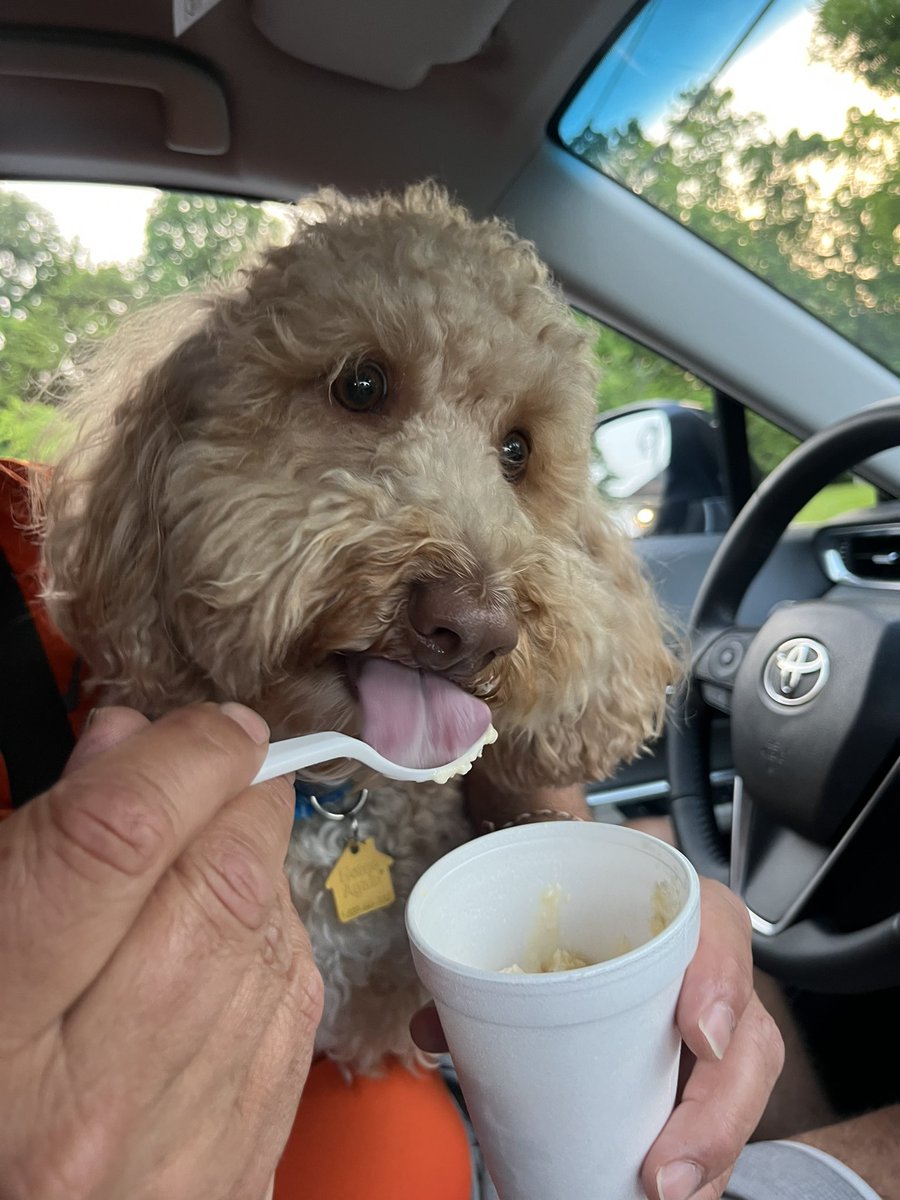 Weekend Vibes 💙🍦