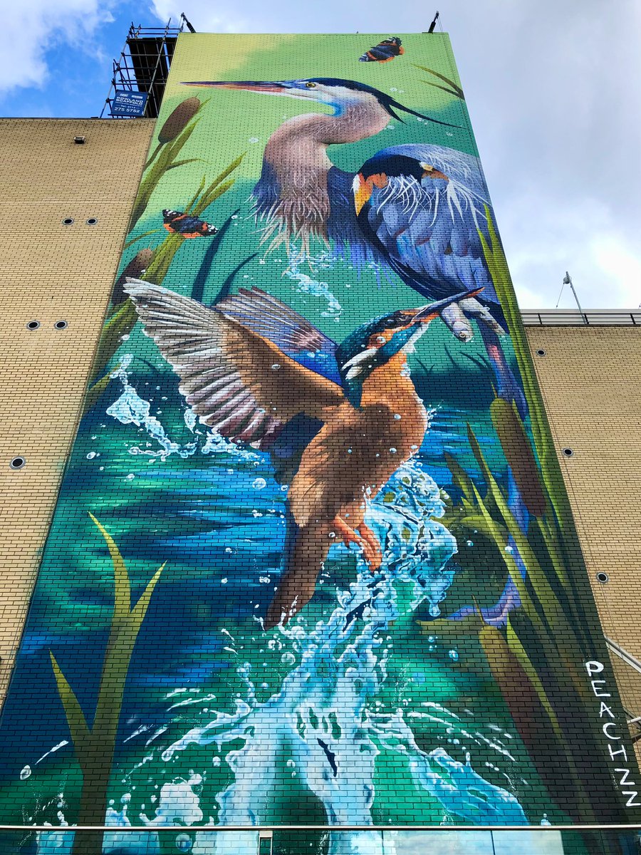 steelcitysnaps's tweet image. It’s finished! After 10 consecutive days of work, #Peachzz completed her incredible mural yesterday! Celebrating Sheffield being @theoutdoorcity, it’s Sheffield’s tallest artwork at 25.5 metres! And it is absolutely stunning 😍 @streetartsheff @VisitSheffield #Sheffield
