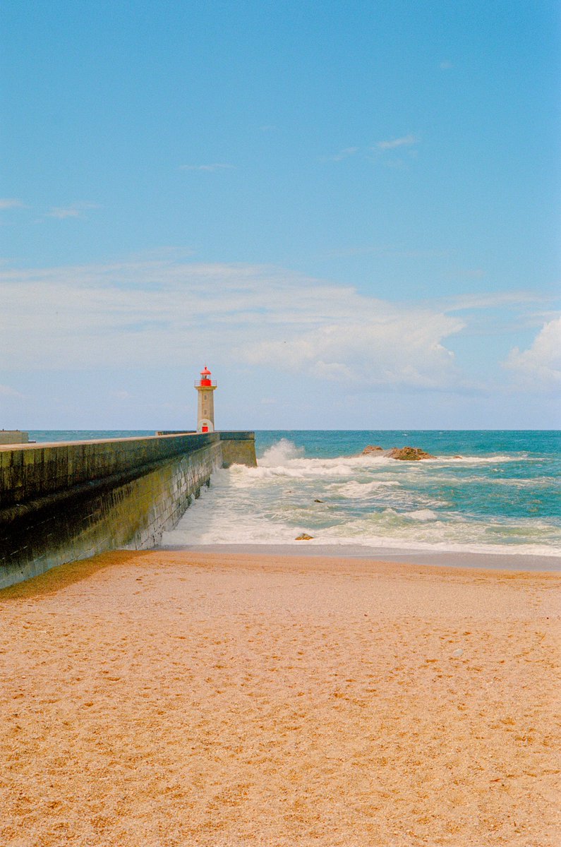 Alex Kittoe tweet media