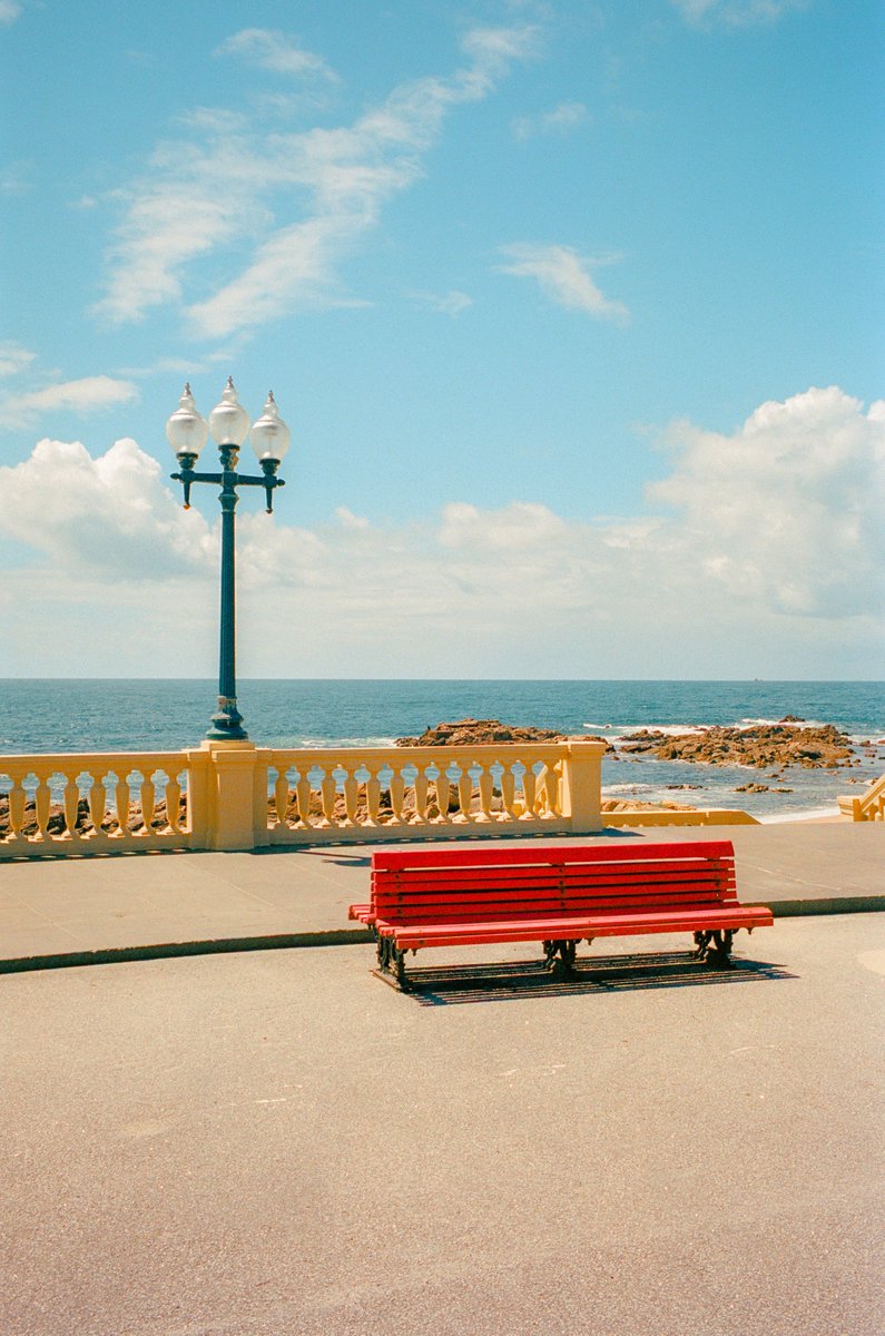 Alex Kittoe tweet media