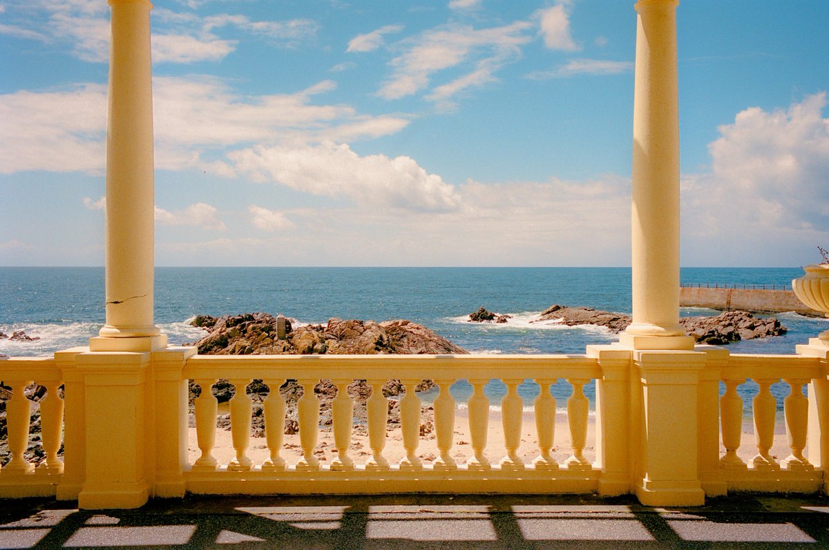 Alex Kittoe tweet media