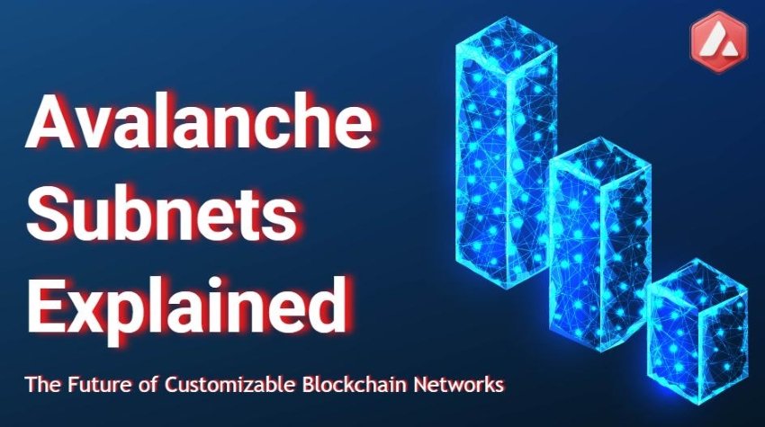 harishchand314's tweet image. Avalanche Subnets: The Future of Customizable Blockchain Networks  c-sharpcorner.com/article/avalan… via @CsharpCorner #BlockchainNetworks