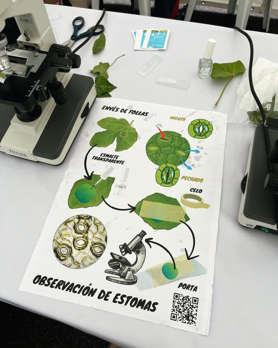 cienciaocruce's tweet photo. Seguimos en #cullerciencia2024 pola a tarde ata as 19h podedes visitar a nosa tenda con rochas, cromatografias, microscopios, realidade virtual, esferificacións, ovos e ruleta periódica, asi de memoria como mínimo 😅💪🧪🥚🧬 🔬🙏🤗 https://t.co/teaPmt95Bd