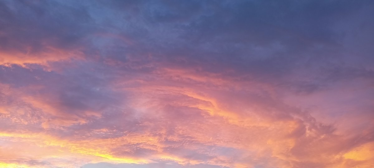 filmflora_as's tweet photo. Sunsetz 🩷 https://t.co/QqbFM0Re5Z