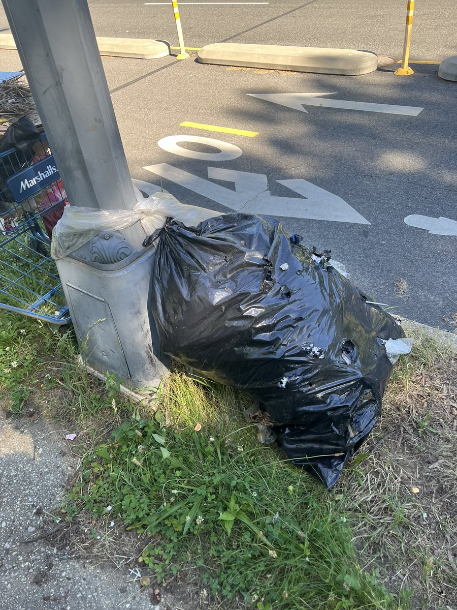 diannelchambers's tweet photo. @311DCgov Trash has been dumped on Kenyon St. NW between the 100 block of Irving St NW, and the 3100 block of Park Place next to Wangari gardens. It used to leaning against light pole #53998. Pics attached. https://t.co/25n33IAxLE