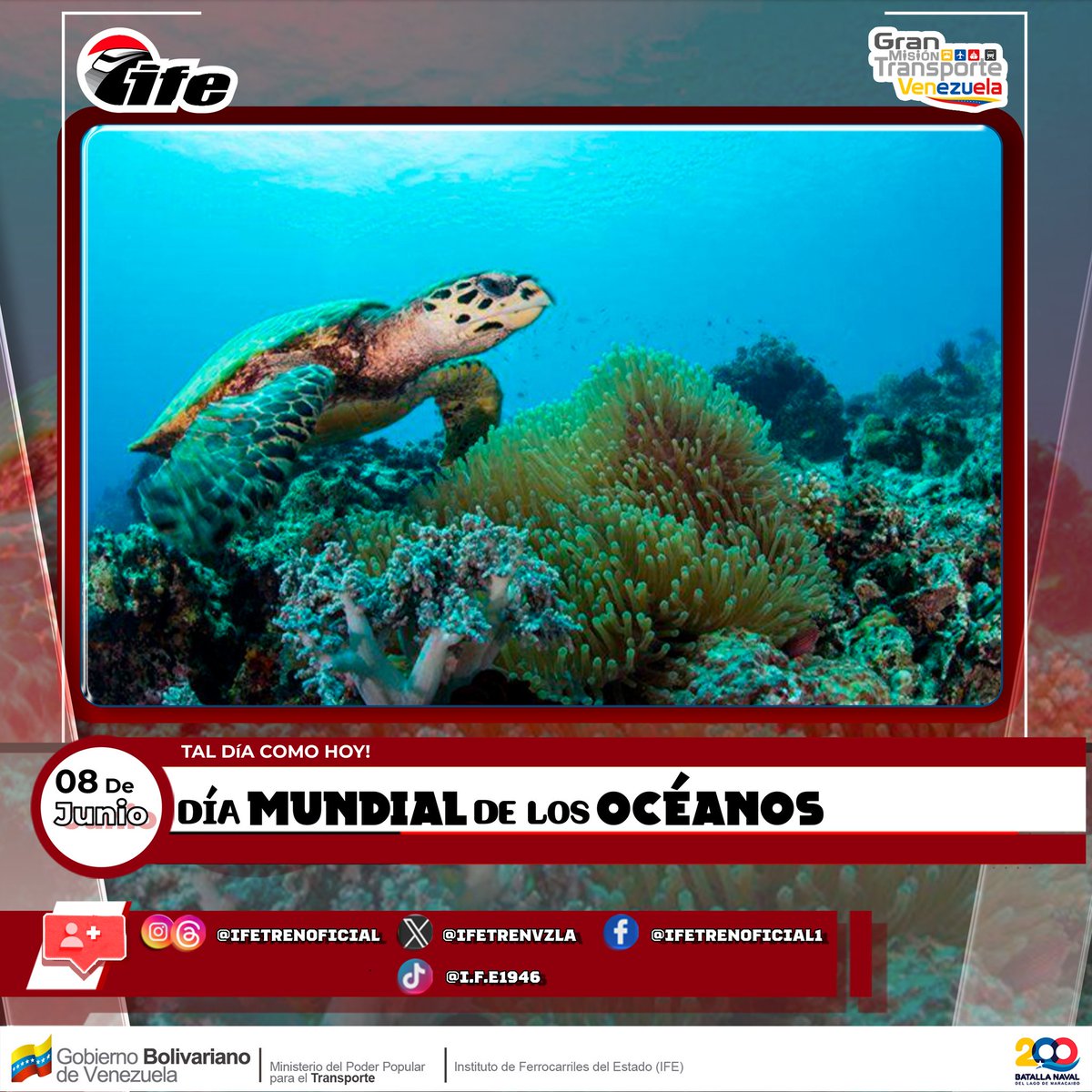 ifetrenvzla's tweet image. #Efemérides #08Jun Se establece esta fecha para reconocer la importancia de los océanos en el planeta, ya que son los responsables de generar gran parte del oxígeno y alberga la mayor parte de la biodiversidad de la Tierra.

#SíVaNico