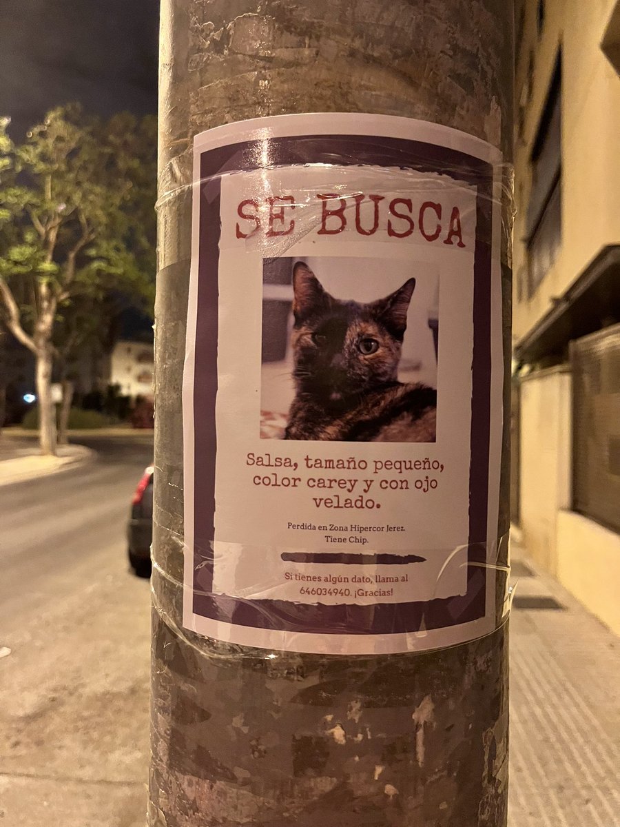 SfHuellas's tweet photo. Seguimos buscando a Salsa,en Jerez zona Hipercor, anoche estuvimos hasta las 2:00 de la mañana buscando en colonias, alrededor de su zona, colocando carteles… parece que se la trago la tierra. 

Por favor su familia está desesperada 😞 necesitamos encontrarla, https://t.co/zTsU7UjuKK