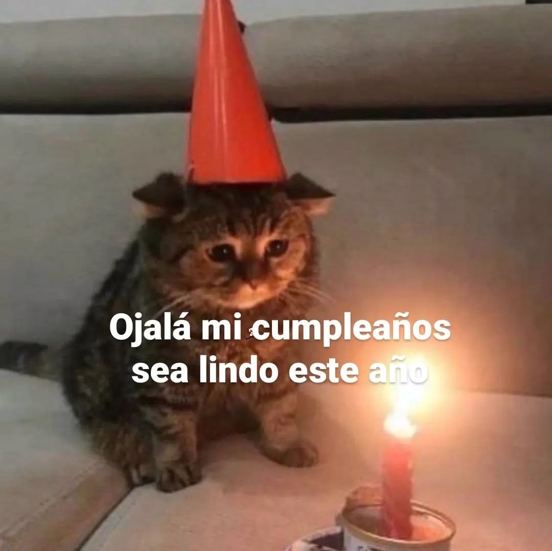 En Júpiter (@en_jupiter_) on Twitter photo 