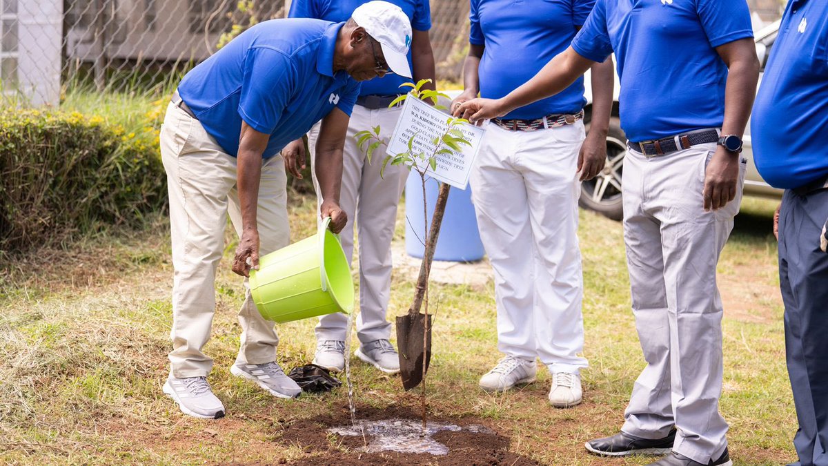 A team led by NMG’s Chairman, Dr. Wilfred Kiboro &amp; other club officials joined forces to plant 100 trees at Nyahururu Country Club.

This initiative underscores our commitment to environmental sustainability.

#NationClassic2024
<a href="/PanariHotel/">Panari Hotel</a> <a href="/MaasaiSafaris/">Expeditions Maasai Safaris</a> <a href="/TaifaSacco/">Taifa Sacco Society </a>