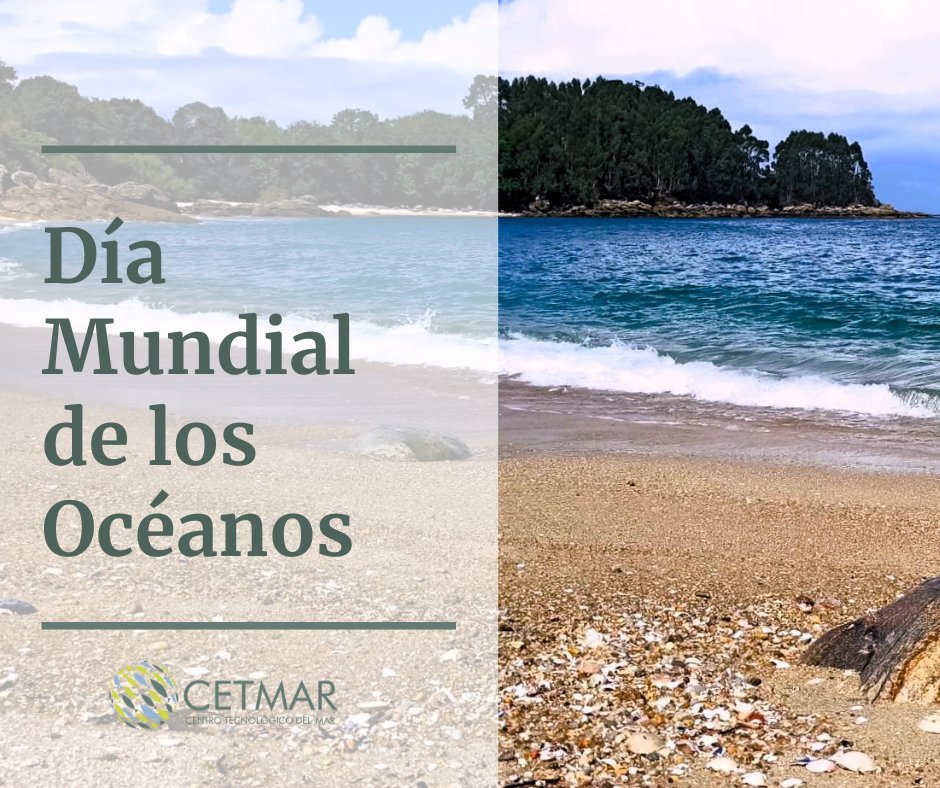 Fundación CETMAR tweet media