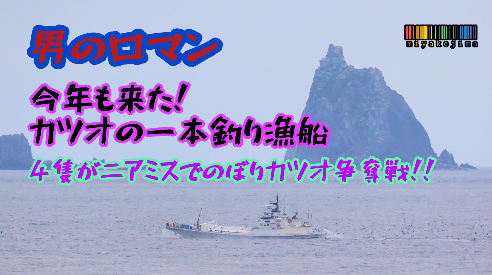 田代濱小市朗難舟一條之問合扣 田代島シリーズ 第三